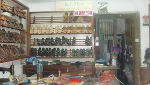 Surti and Sons