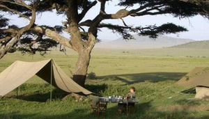 Tanzania Private Select Safaris Ltd