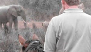 Tanzania Riding Safaris