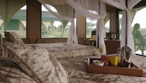 Tarangire Camp