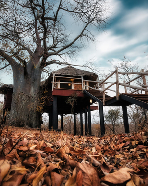 Tarangire Treetops by Elewana