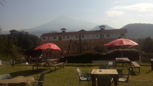 The Beer Garden