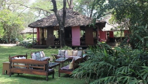 The River House