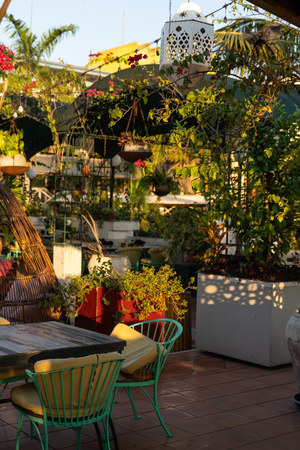 The Terrace