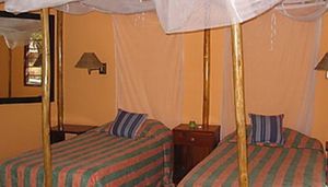 Tinga Tinga Lodge