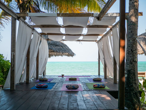 Villa Bahati Yoga Shala & Wellness