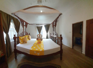 White Jaguar House