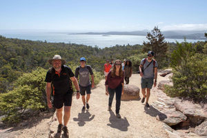 1 Day Launceston to Hobart via Wineglass Bay active day trip