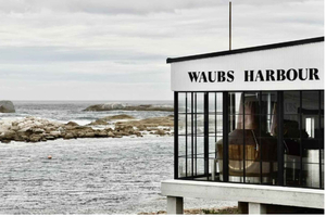 Bicheno: Geführte Whisky-Verkostung in der Waubs Harbour Distillery