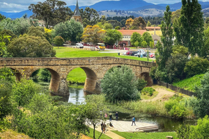 Bonorong Wildlife Sanctuary Half-Day Tour from Hobart