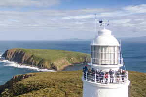 Bruny Island: Cape Bruny fyrtårntur