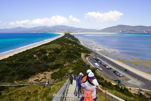 Bruny Island: Guided Sightseeing Tour (8hr Private Tour)