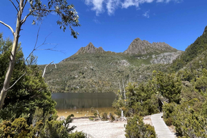 Cradle Mountain: passeggiata guidata di mezza giornata al Dove Lake con pranzo