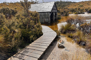Cradle Mountain: tour di 1 giorno con pranzo