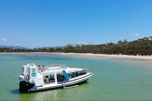 Desde Hobart Excursión de un día a la Isla María con conexión en autobús