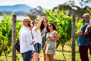 From Hobart: Tasmanian Wine Tour