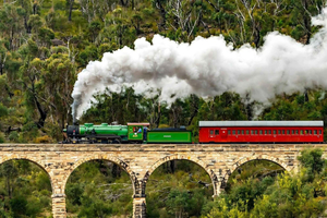 Fra Sydney: Dagstur til Blue Mountains og Zig Zag Railway