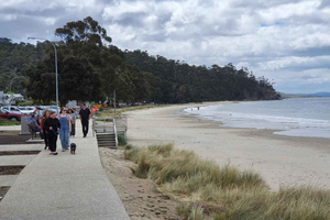 Hobart, Bush and Beach Escape - 2 Hour Small Group Tour