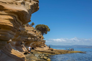 Hobart: Maria Island National Park Active Full-Day Tour