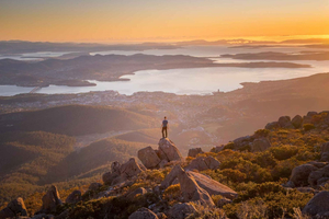 Hobart: navetta di sola andata per escursionisti al Monte Wellington