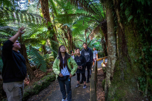 Hobart: Mt Field National Park & Wildlife Excursie langs de kust