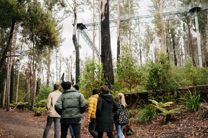 Hobart: Port Arthur, Bruny, Hastings y Tahune, excursión de un día de 4 días