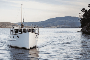 Huon River: Relaxing Afternoon River Cruise