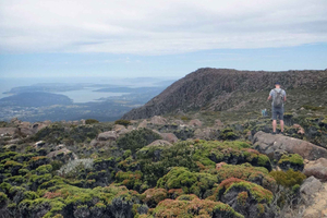 Autobús Explorador de Kunanyi y el Monte Wellington: Abono de autobús de ida
