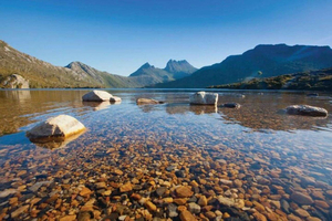 Launceston: ruta de senderismo de 1 día por Cradle Mountain