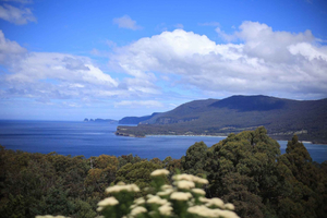 Tour guiado en grupo pequeño por la península de Tasmania desde Hobart