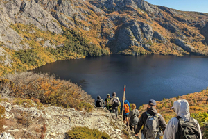 Tasmania: Wilderness and Wildlife Guided 6-Day Tour