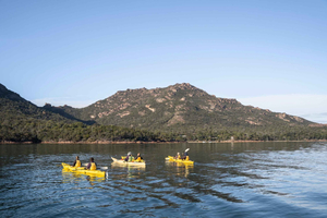 Freycinet Paddle Kayak Tour -retki