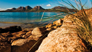 Going Bush in Tasmania's National Parks