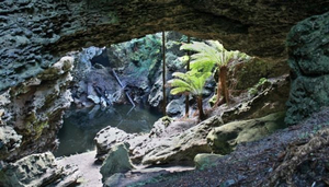 Trowutta Arch