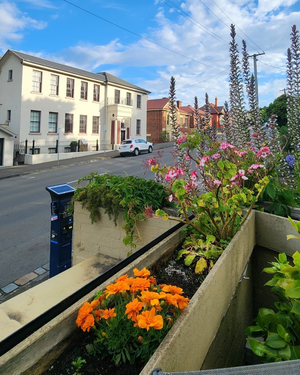 Balmoral on York, Launceston