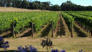 Bay of Fires Wines Tasmania