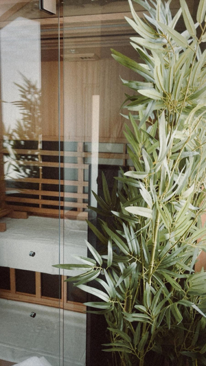 Bridport Wellness Sauna