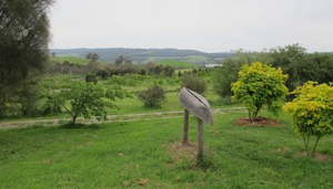 Cherry Top Farmstay