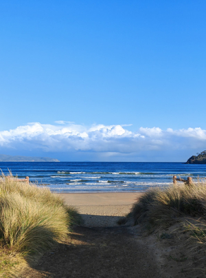 Clifton Beach