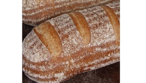 Companion Bakery