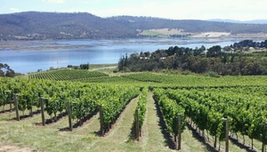 Derwent Estate