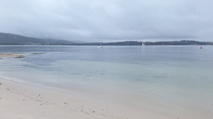East Shelly beach