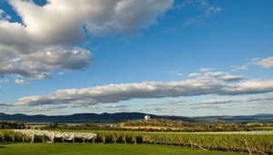 Frogmore Creek