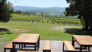 Goaty Hills Wines