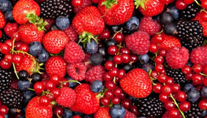 Hillwood Berry Farm