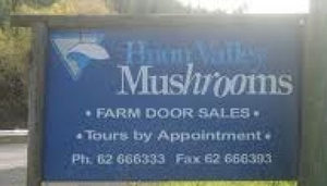 Huon Valley Mushrooms