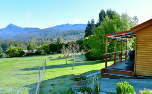 Maydena Mountain Cabins & Alpacas