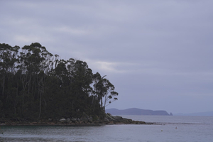 Neha’s beach