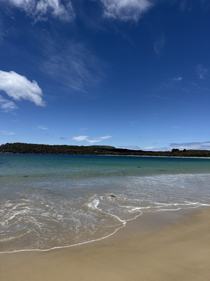 Safety Cove beach