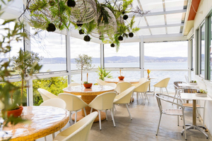 Seagrass Long Point